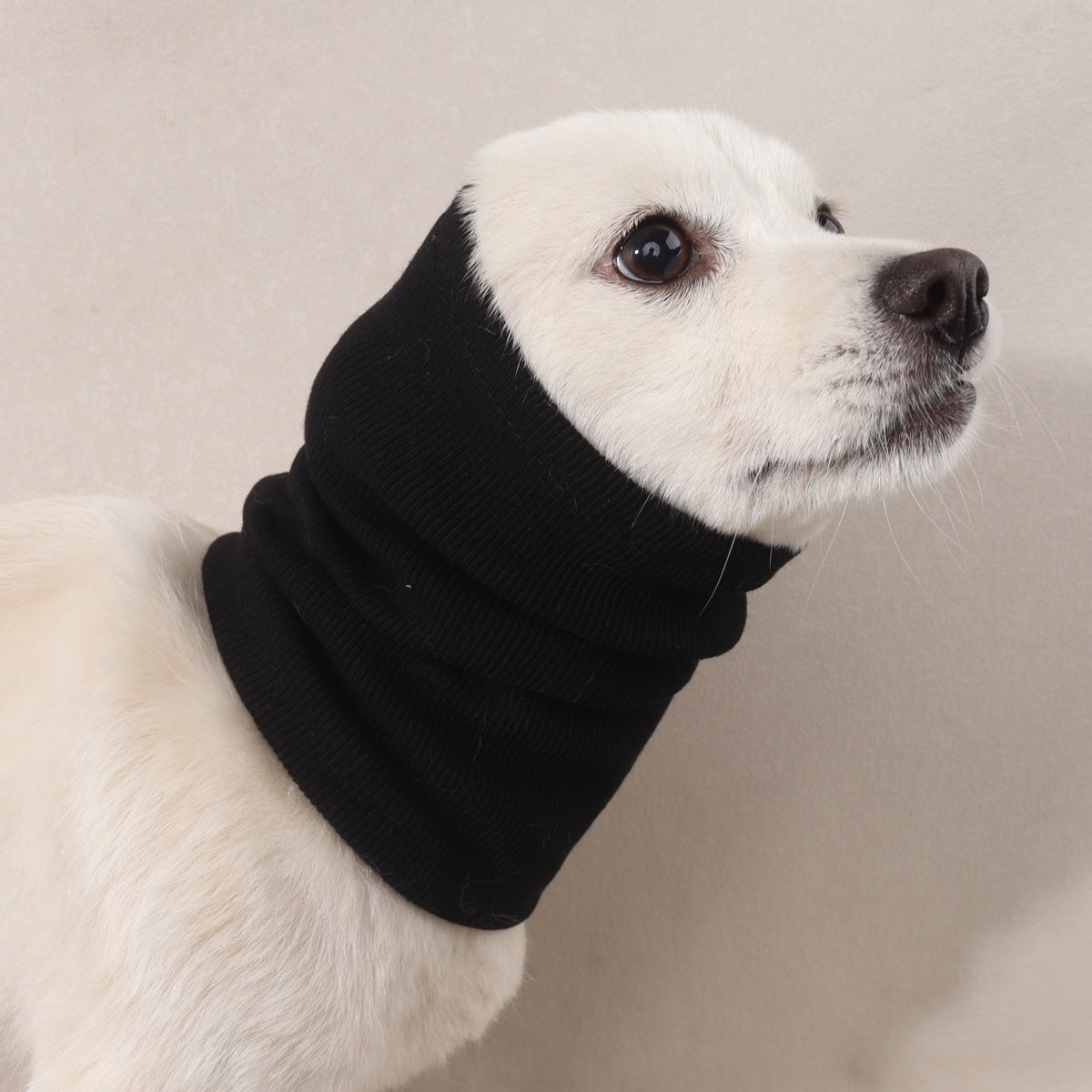 Trendy Dog Protective Hood Sleeve