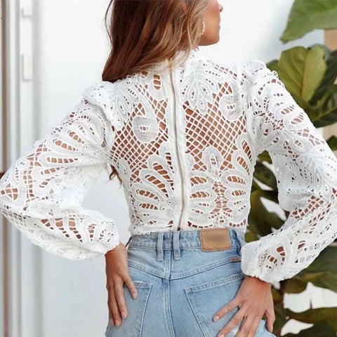 Trendy Long Sleeve Lace Hollow Out Cropped Blouse