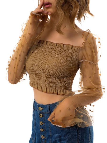 Trendy Sheer Mesh Polka Dot Crop Ruffle Blouse