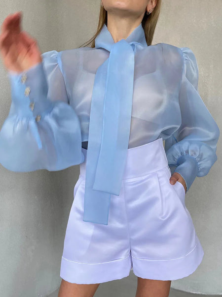 Trendy Puff Sleeve Lace Up Bowknot Collar Blouse