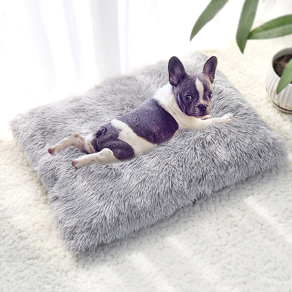 Trendy Soft Fleece Plush Blanket For Dogs Or Cats