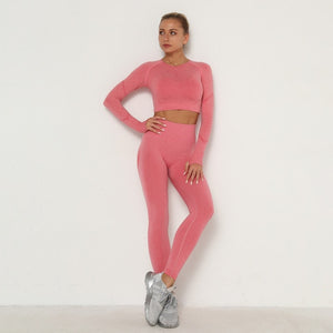 Trendy Workout Seamless Sports Set Includes High Waist Leggings  and Long Sleeve Top