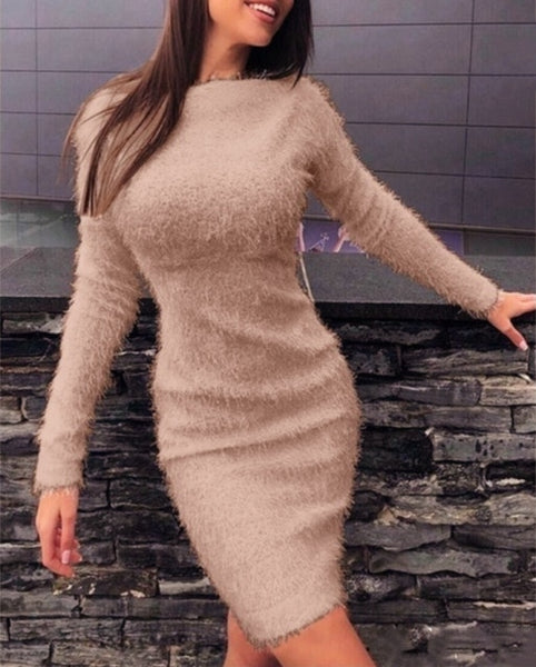 Trendy Plush Long Sleeve Mini Dress